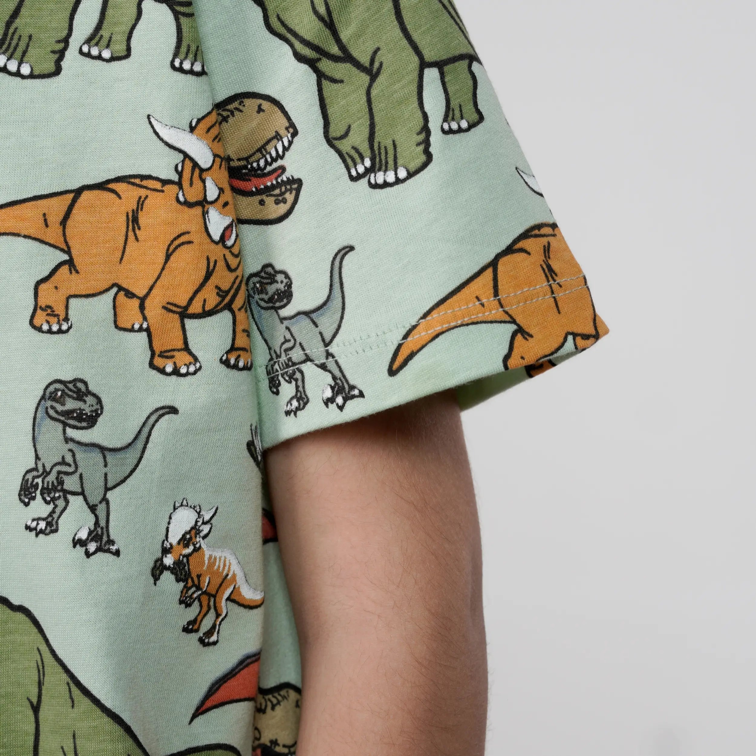 Boys Dinosaur Printed Tee image 2