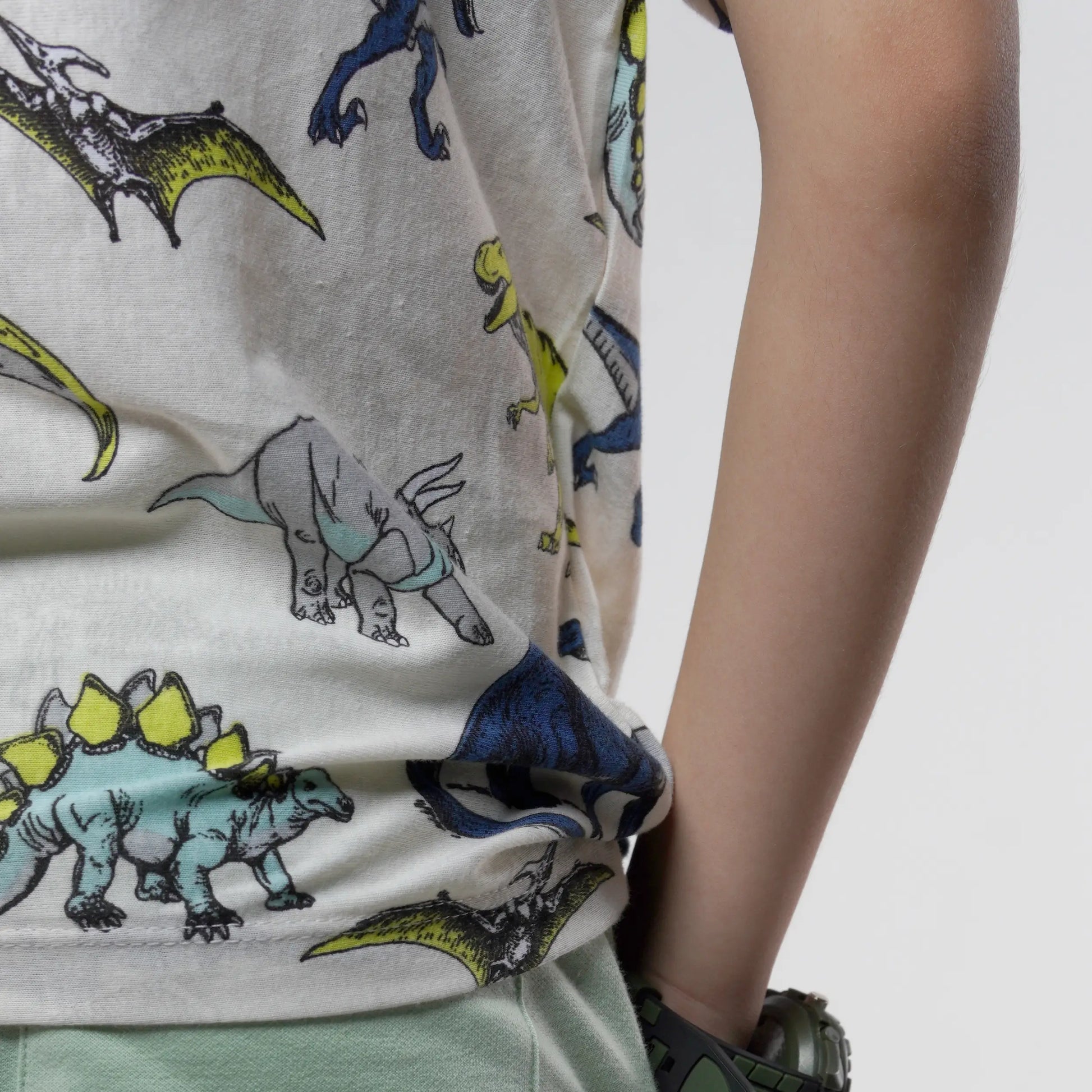Boys Dinosaur Printed White Tee image 2