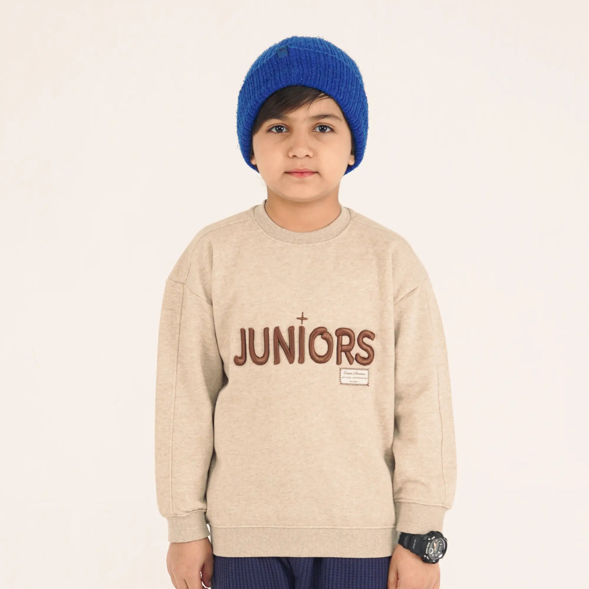 Oatmeal Emb Sweatshirt image 0