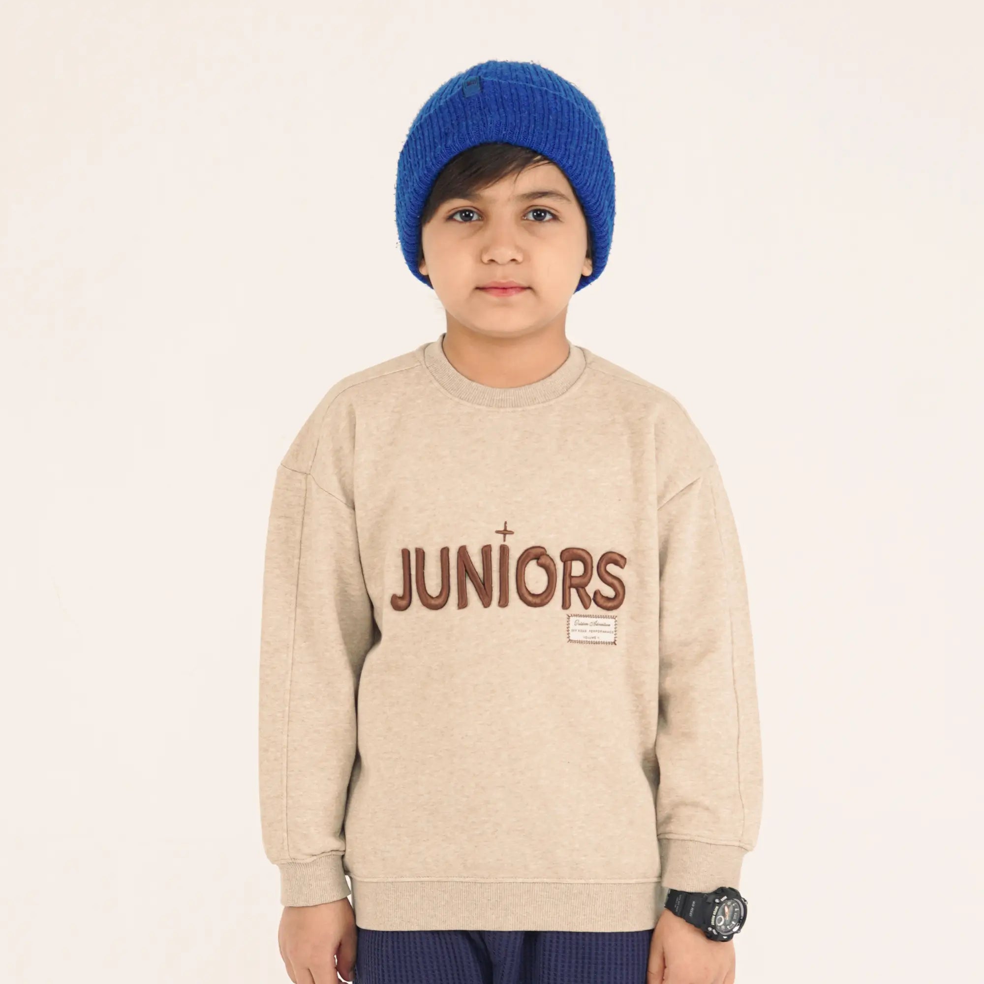 Oatmeal Emb Sweatshirt image 0