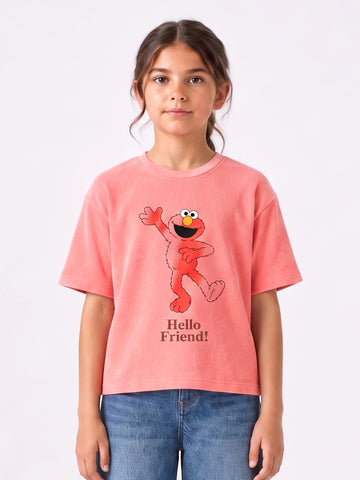 Girls Hello Friend textured tee by Juniors.pk
