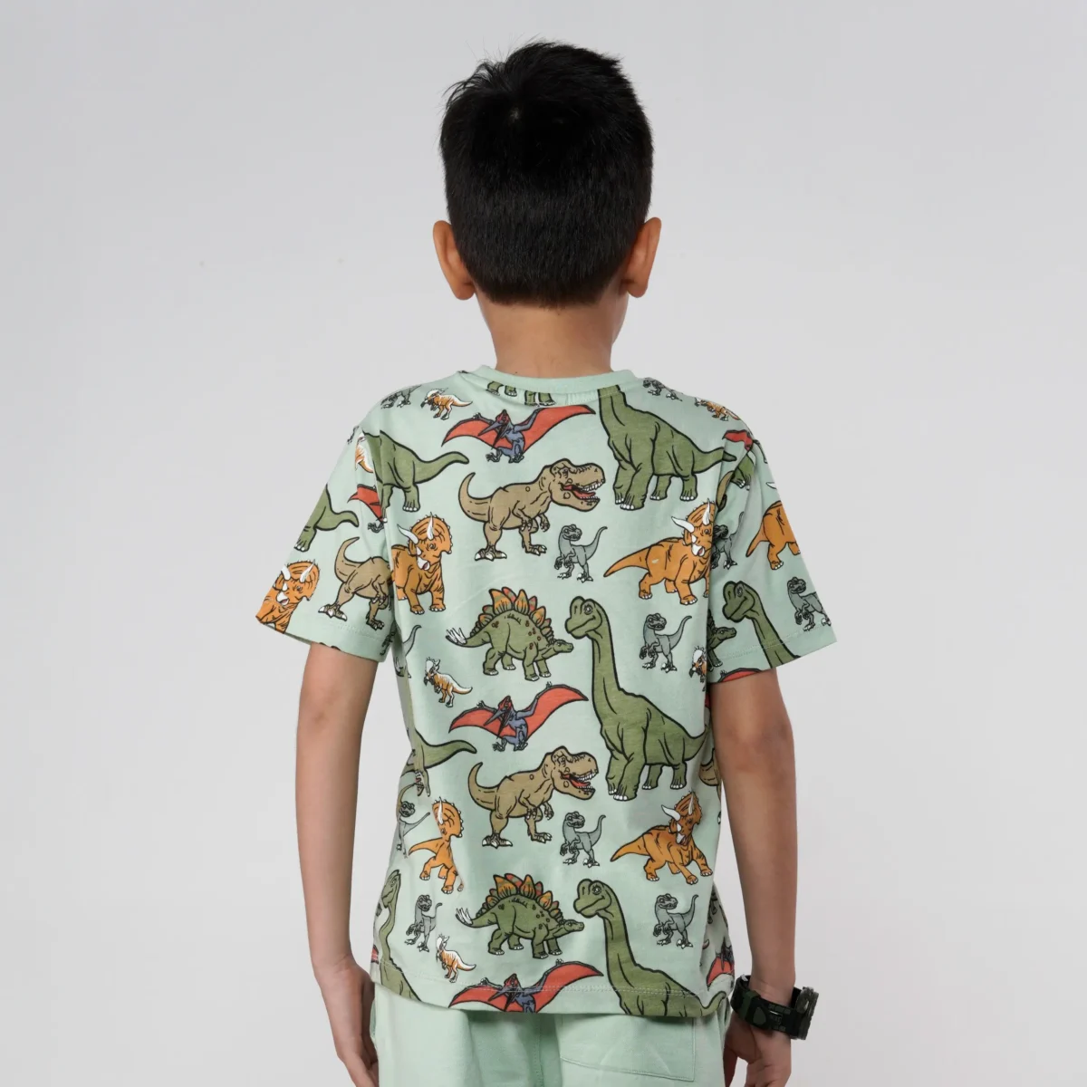 Boys Dinosaur Printed Tee Juniors.pk