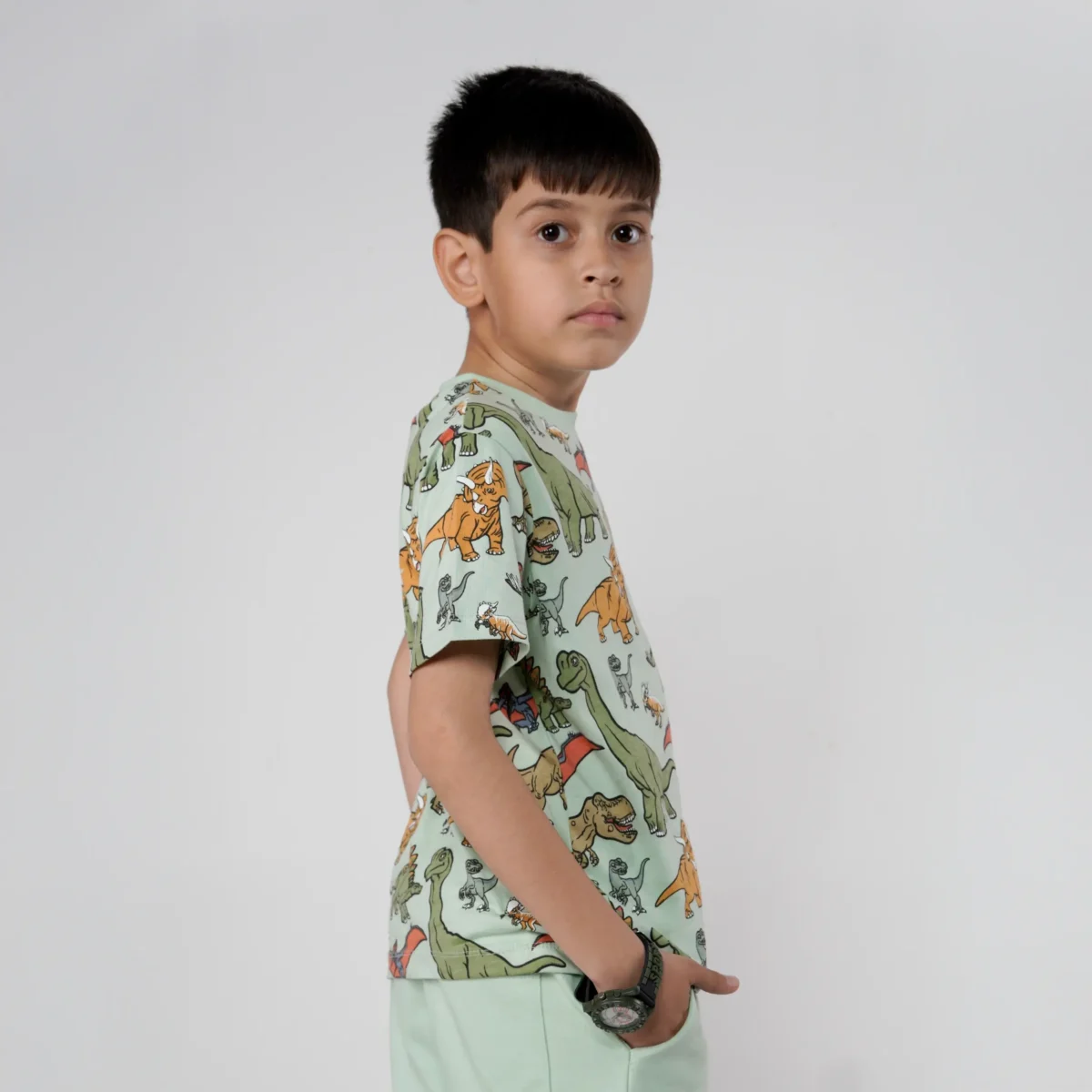 Boys Dinosaur Printed Tee Juniors.pk