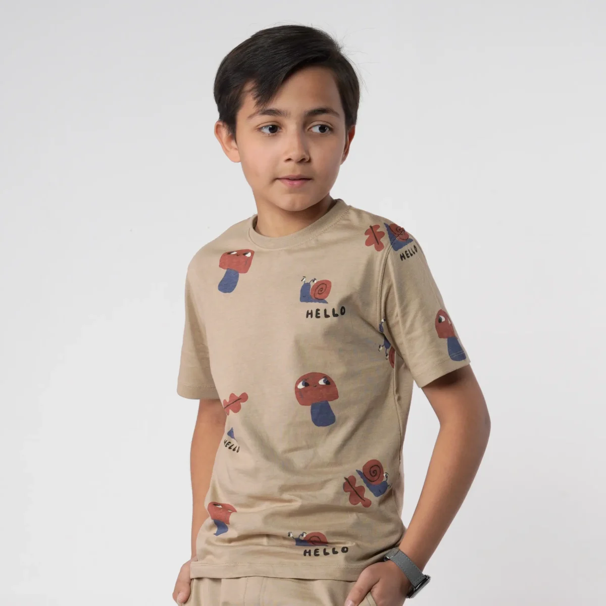 Boys Tan Printed Tee Juniors.pk.